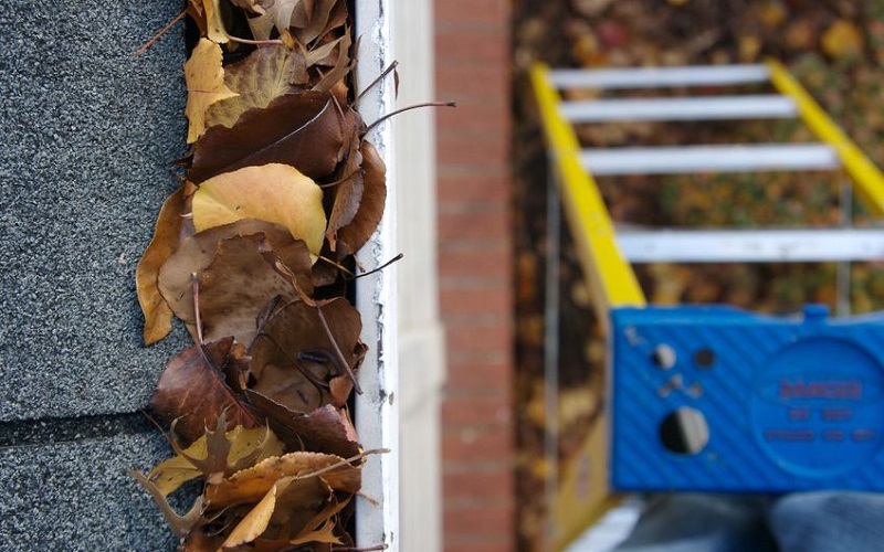 Easy and SAFE Ways To Clean Gutters