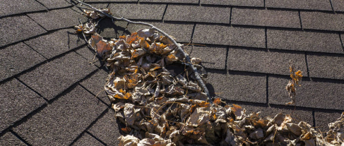 Getting Your Roof Ready and Prepared for the Fall Season
